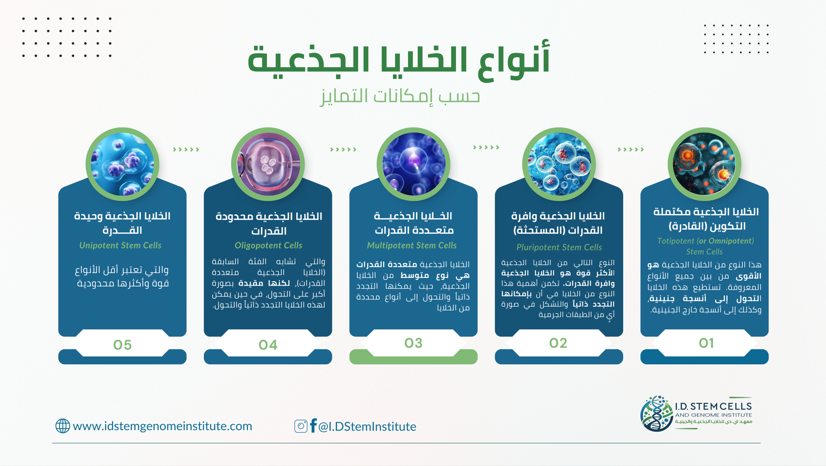 انفوغرافيك: آليات العلاج بالخلايا الجذعية في الفشل القلبي
