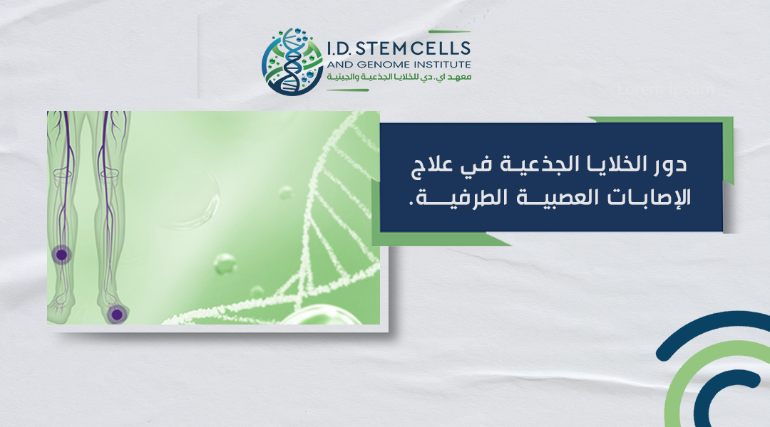 دور الخلايا الجذعية في علاج الإصابات العصبية الطرفية
