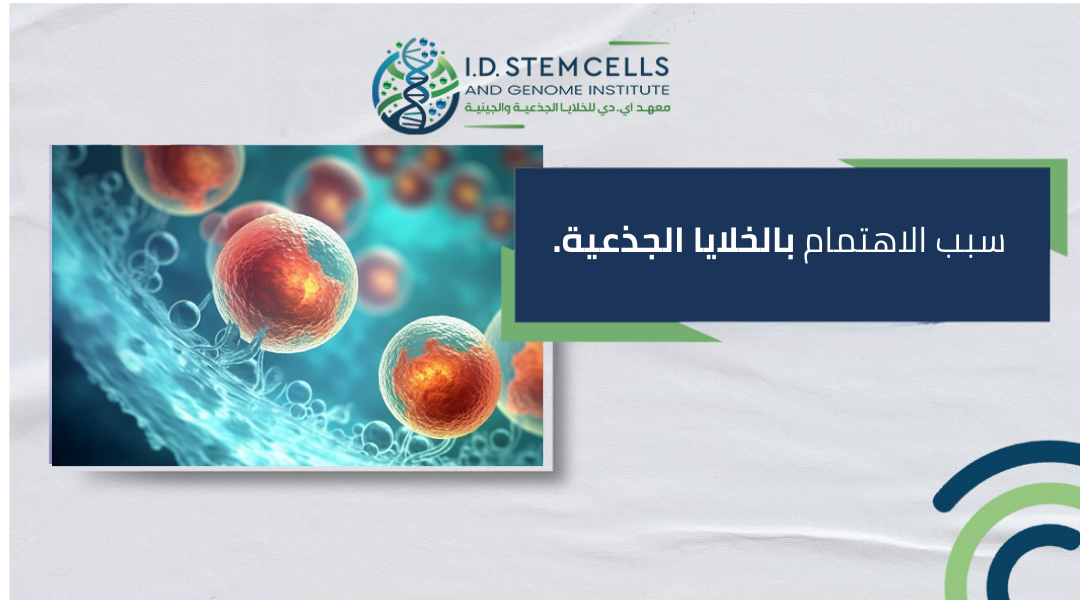 سبب الاهتمام بالخلايا الجذعية