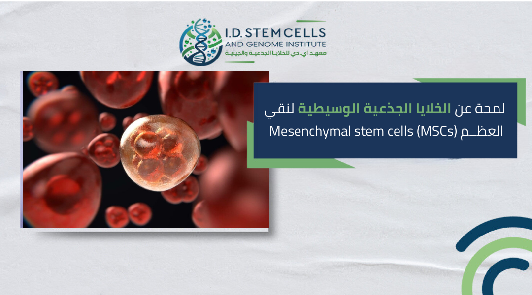 لمحة عن الخلايا الجذعية الوسيطية لنقي العظم Mesenchymal stem cells (MSCs)