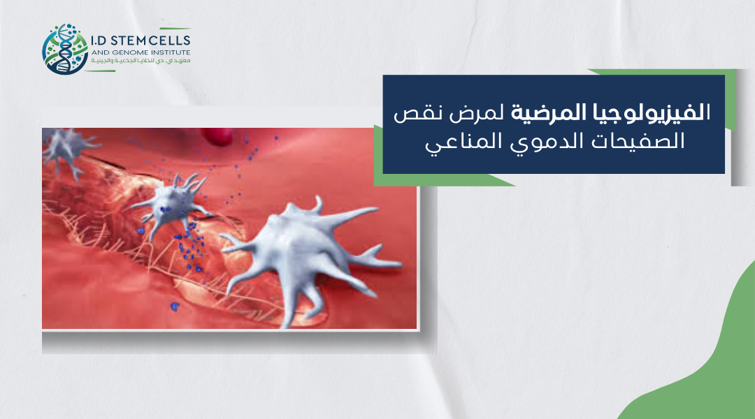 الفيزيولوجيا المرضية لمرض نقص الصفيحات الدموي المناعي