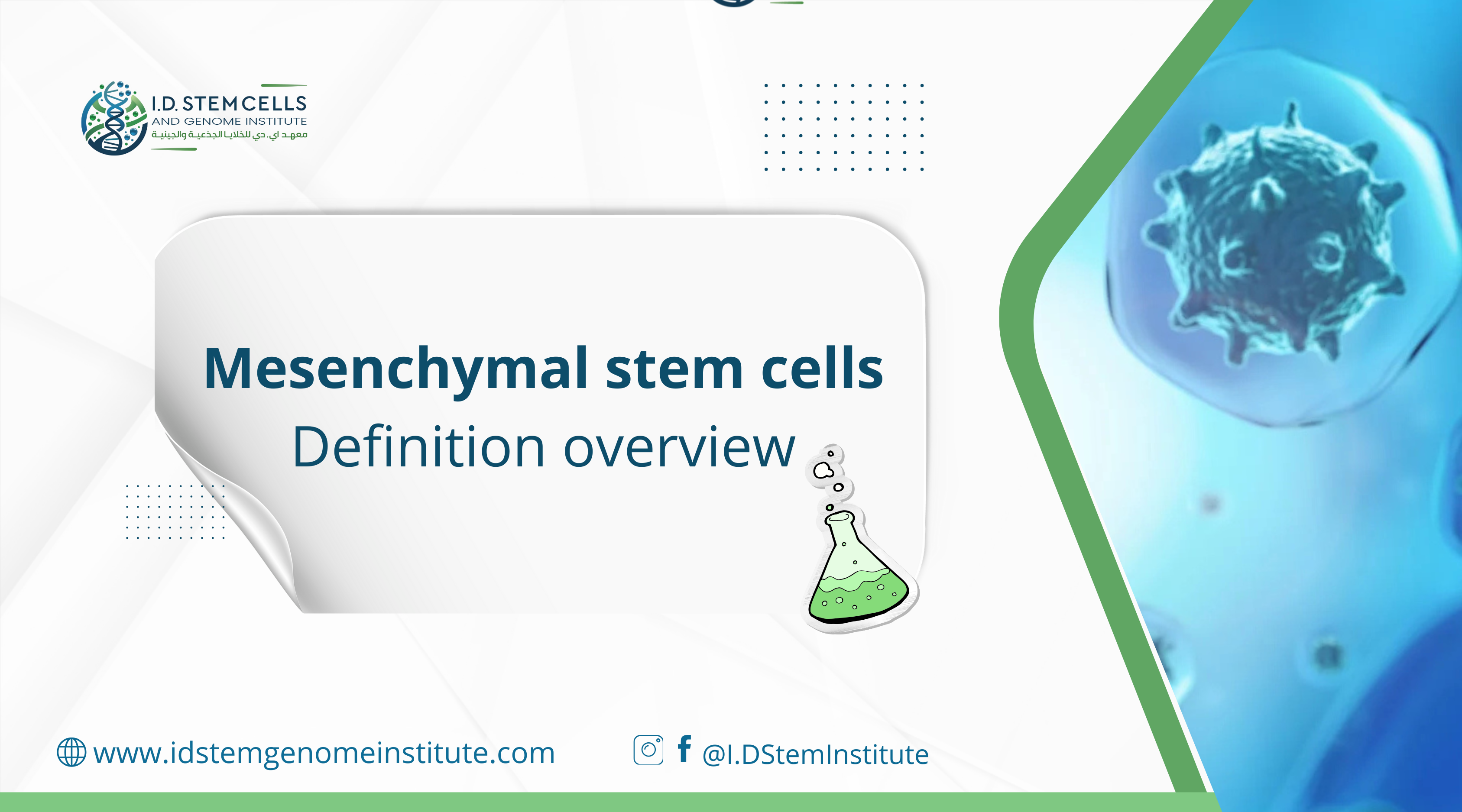 Mesenchymal stem cells definition overview