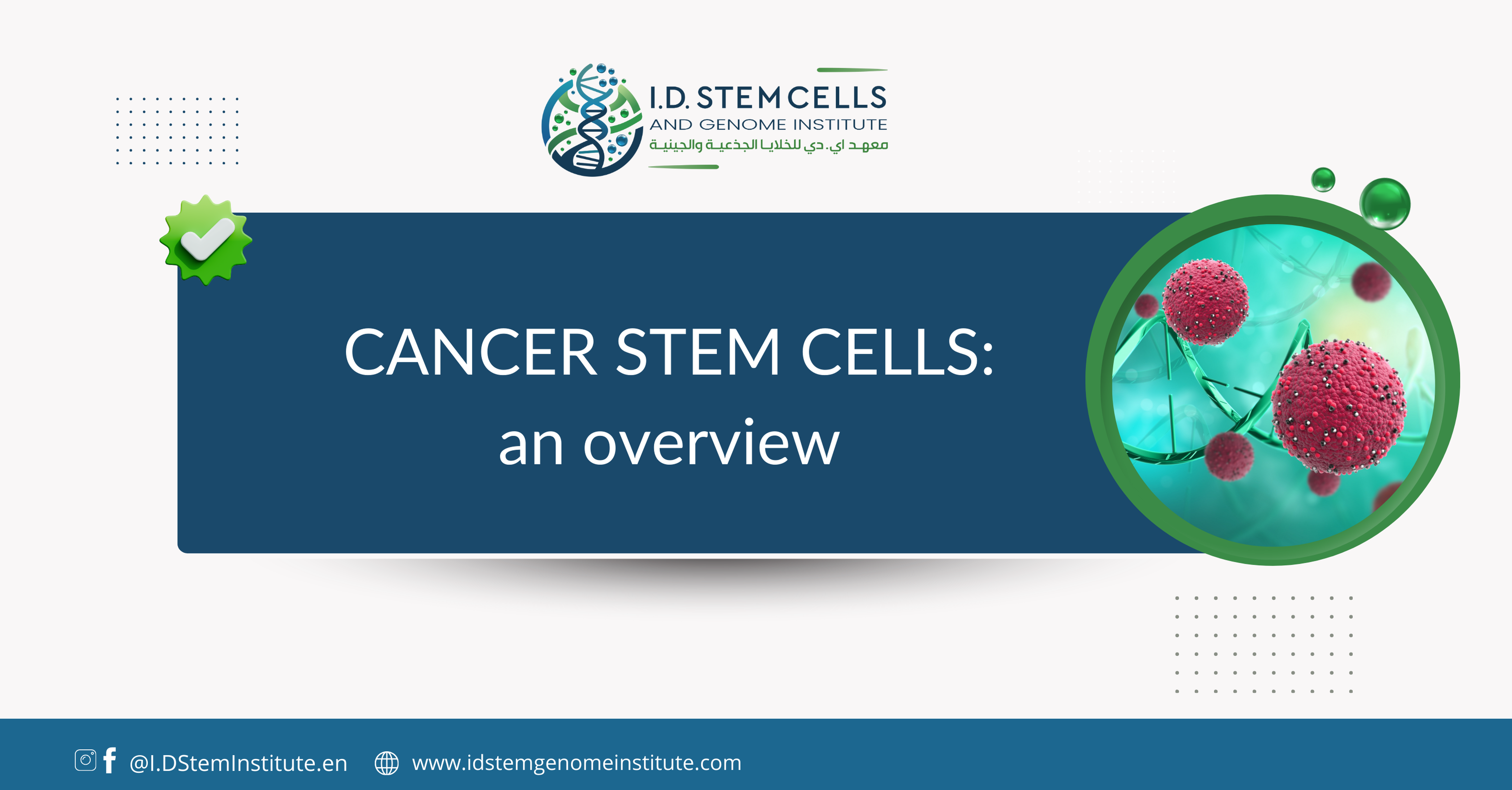 Cancer stem cells: an overview 
