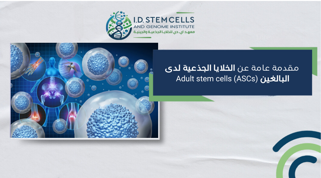 مقدمة عامة عن الخلايا الجذعية لدى البالغين Adult stem cells (ASCs