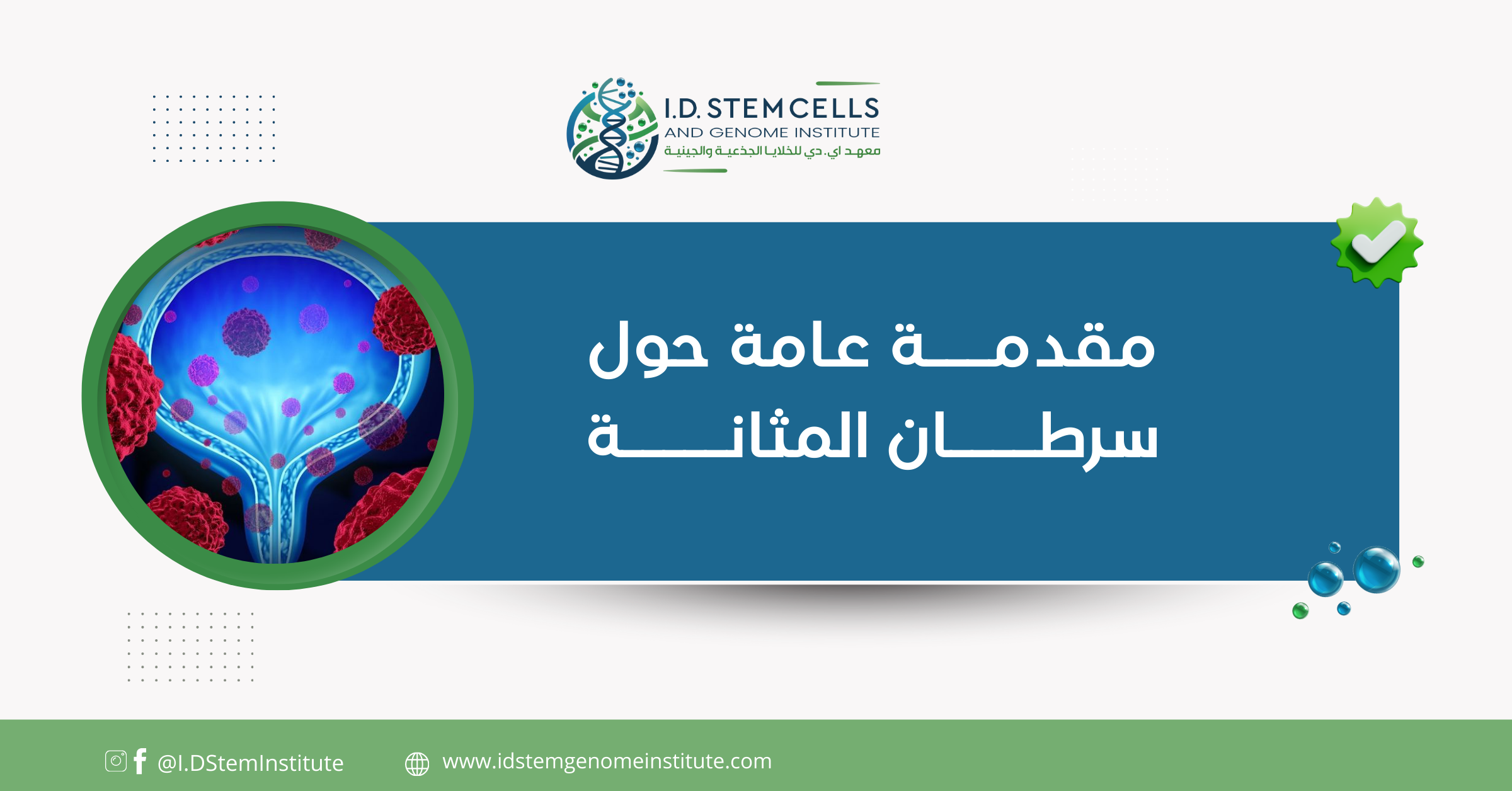 مقدمة عامة حول سرطان المثانة  