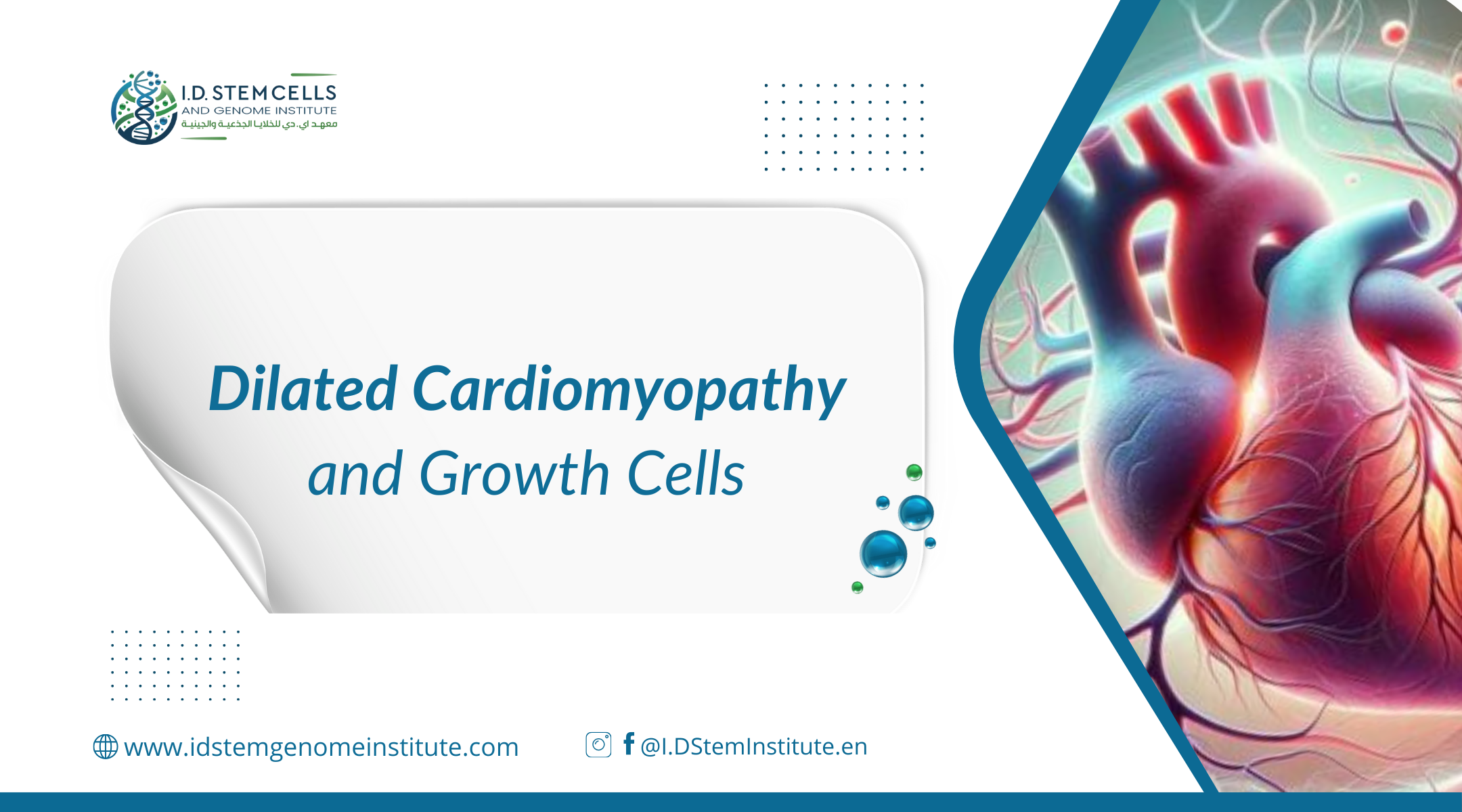Dilated Cardiomyopathy and Growth Cells  
