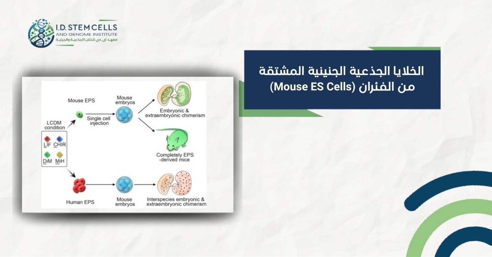 لمحة عامة عن الأمراض القلبية