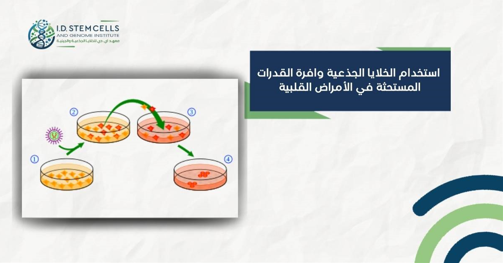 استخدام الخلايا الجذعية وافرة القدرات المستحثة  في الأمراض القلبية