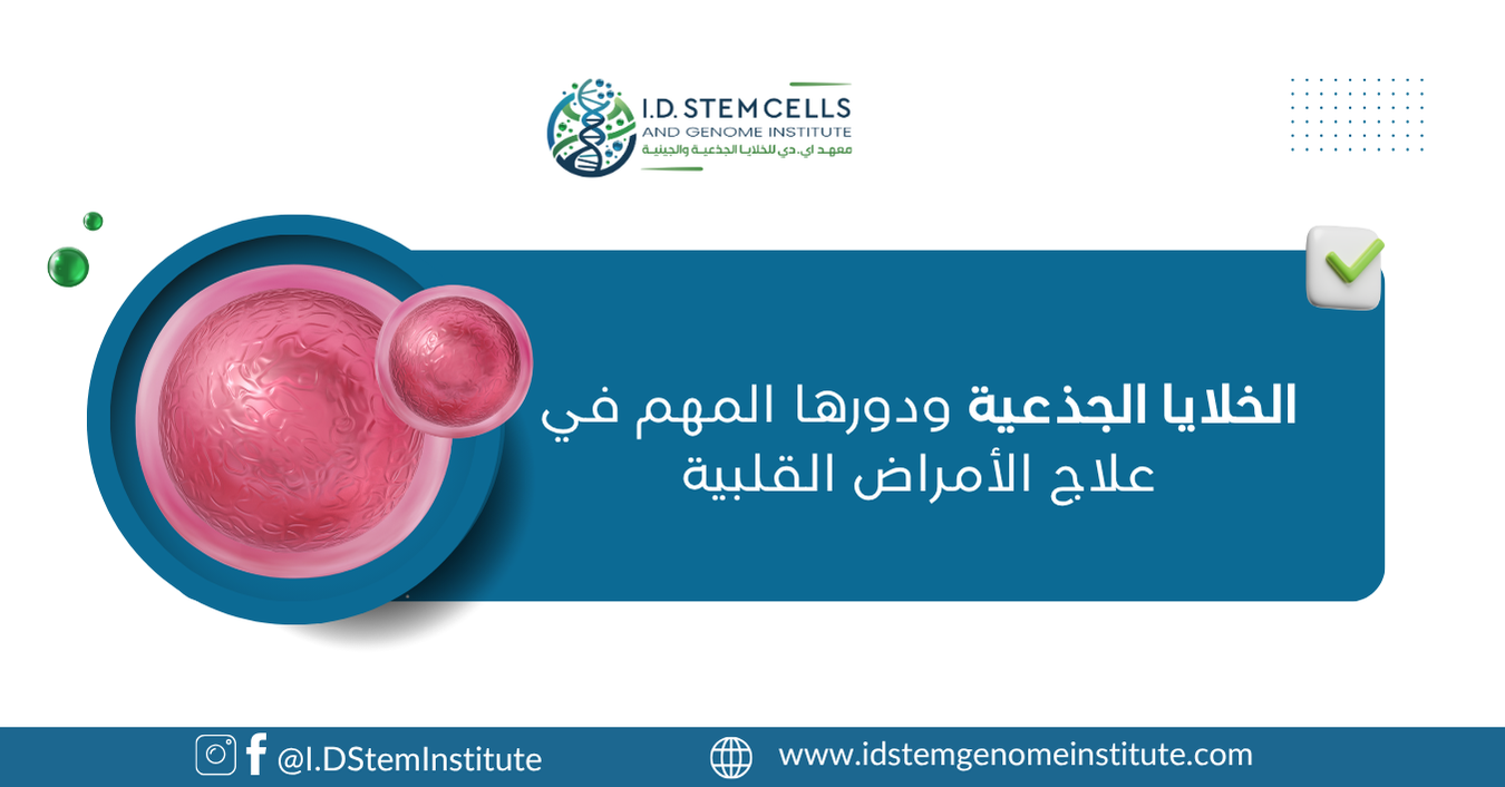 الخلايا الجذعية ودورها المهم في علاج الأمراض القلبية