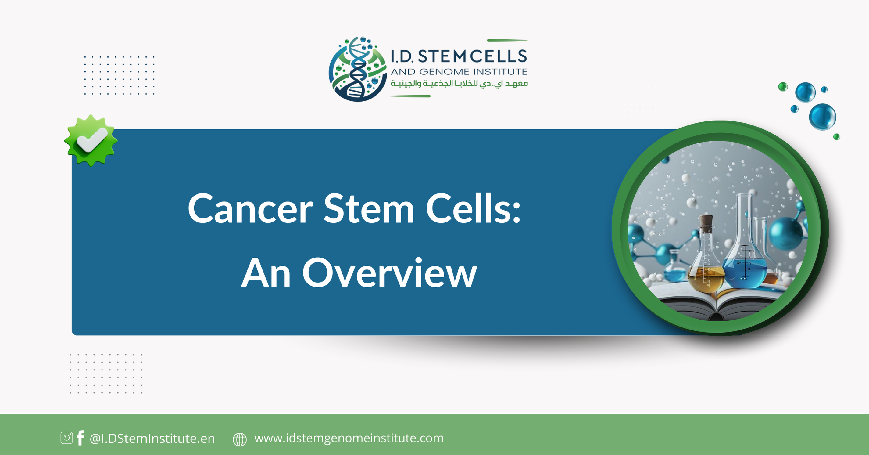 Cancer Stem Cells: An Overview