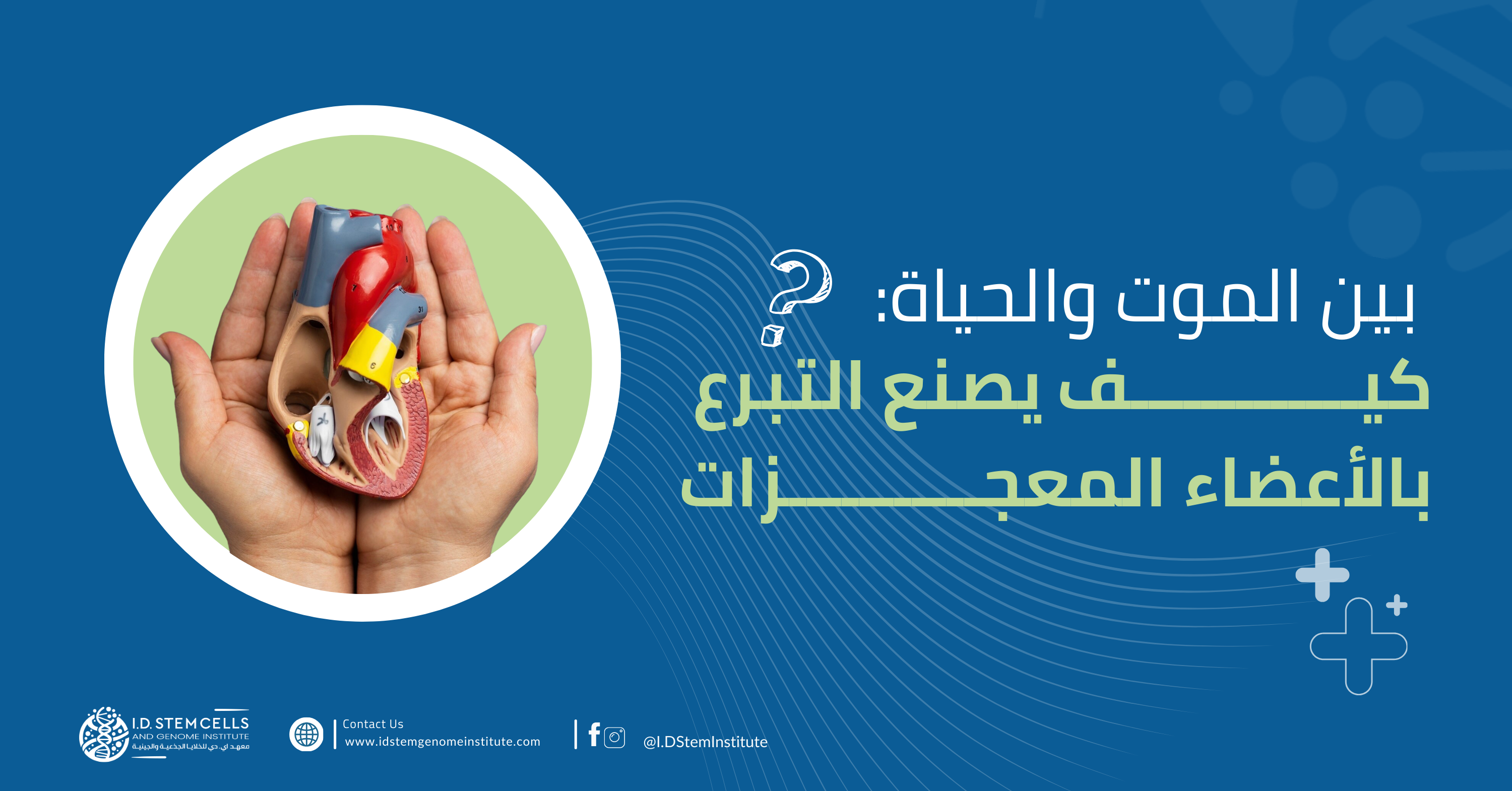 بين الموت والحياة: كيف يصنع التبرع بالأعضاء المعجزات؟