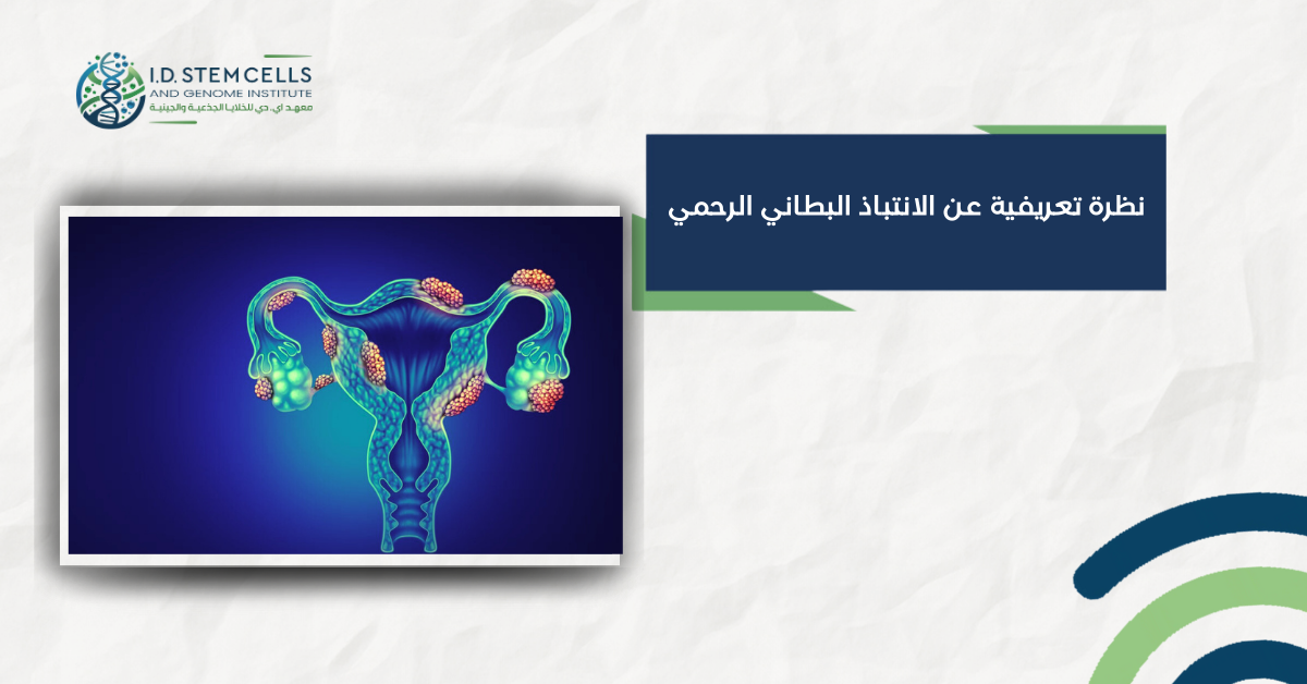 نظرة تعريفية عن الانتباذ البطاني الرحمي