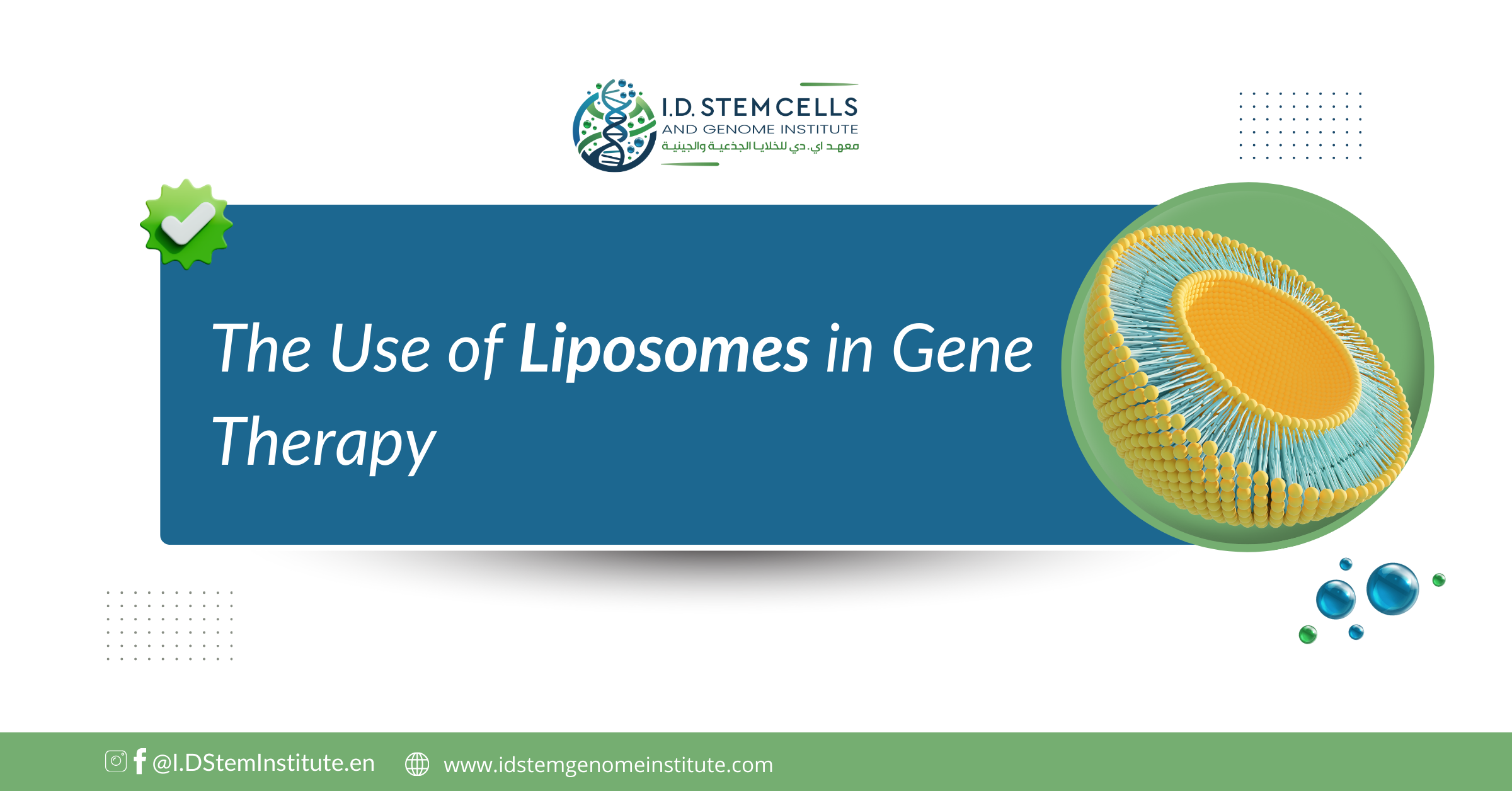 The Use of Liposomes in Gene Therapy