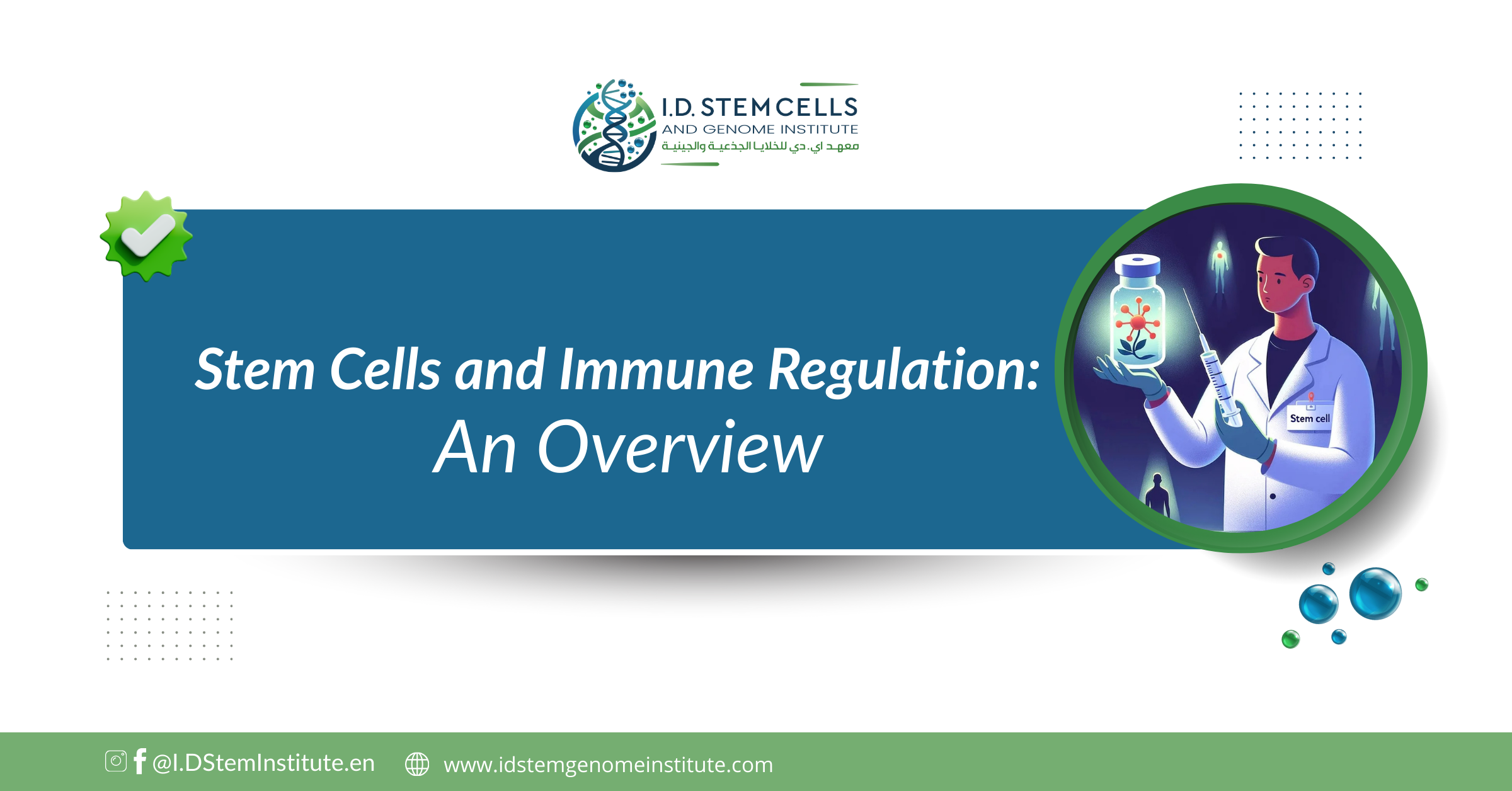 Stem Cells and Immune Regulation: An Overview