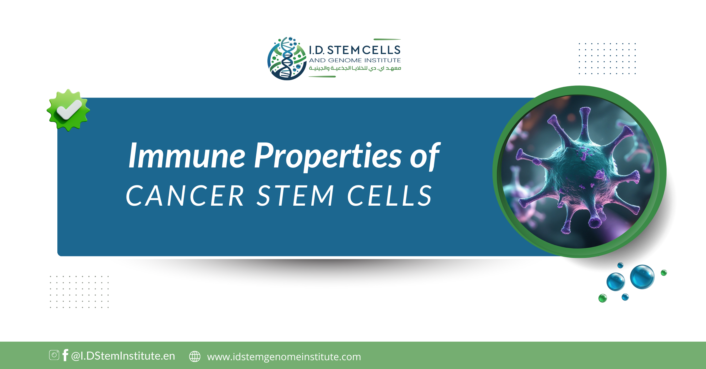 Immune properties of cancer stem cells