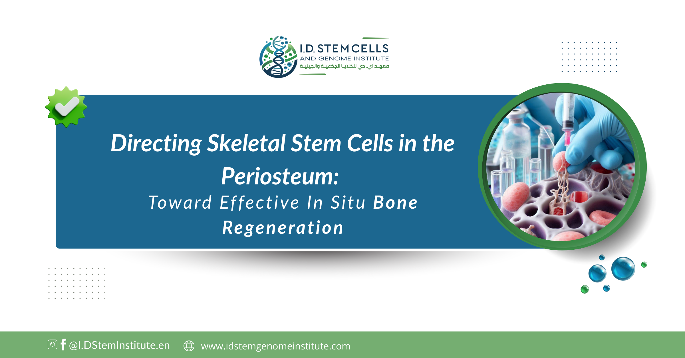 Directing Skeletal Stem Cells in the Periosteum: Toward Effective In Situ Bone Regeneration 