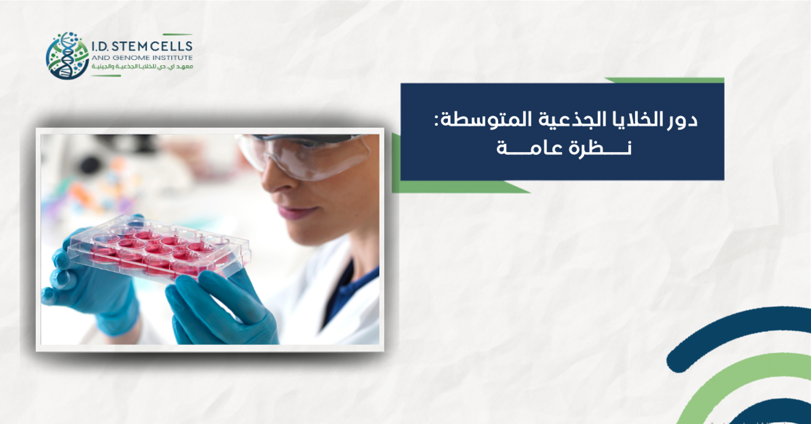 دور الخلايا الجذعية المتوسطة: نظرة عامة
