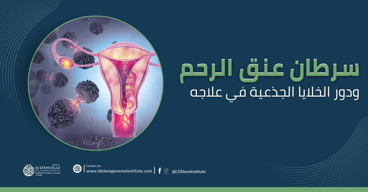 سرطان عنق الرحم ودور الخلايا الجذعية في علاجه