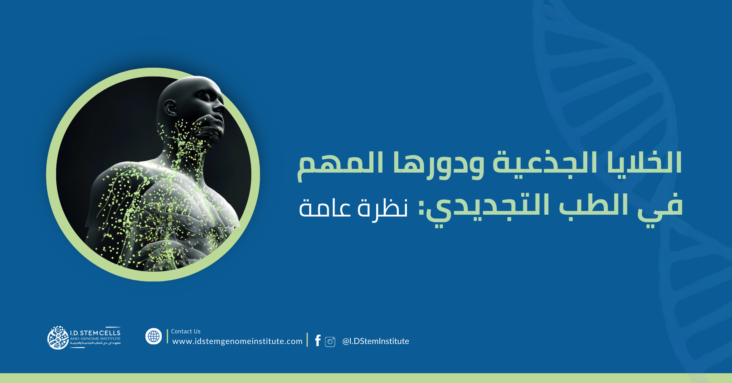 alkhlaya-aljdh-yt-wdwrha-almhm-fy-altb-altjdydy-nzrt-amt