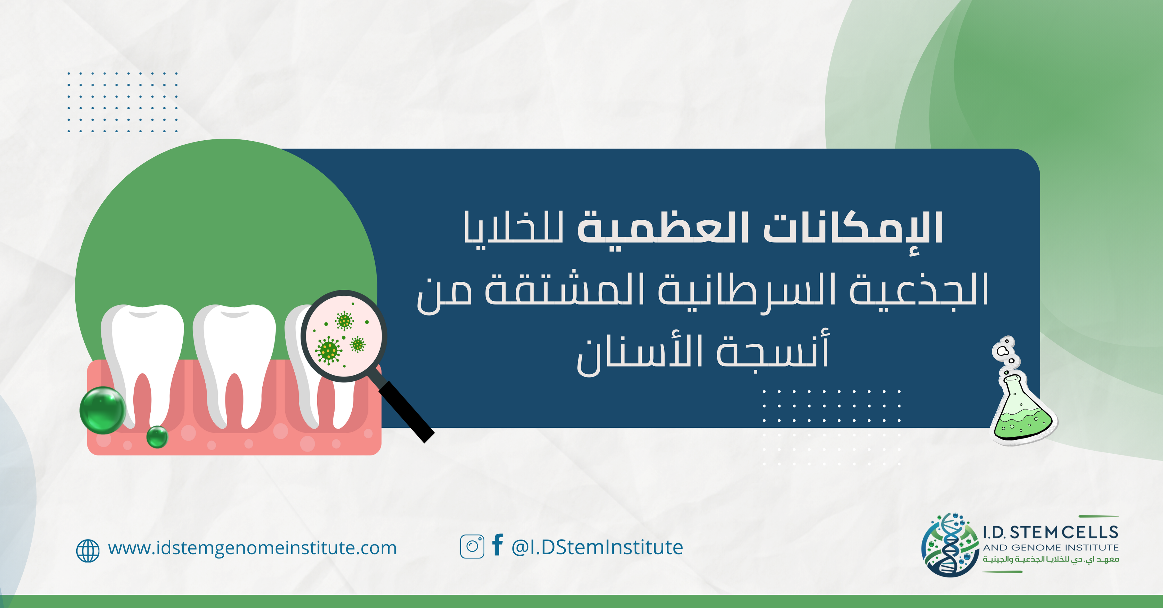 الإمكانات العظمية للخلايا الجذعية السرطانية المشتقة من أنسجة الأسنان