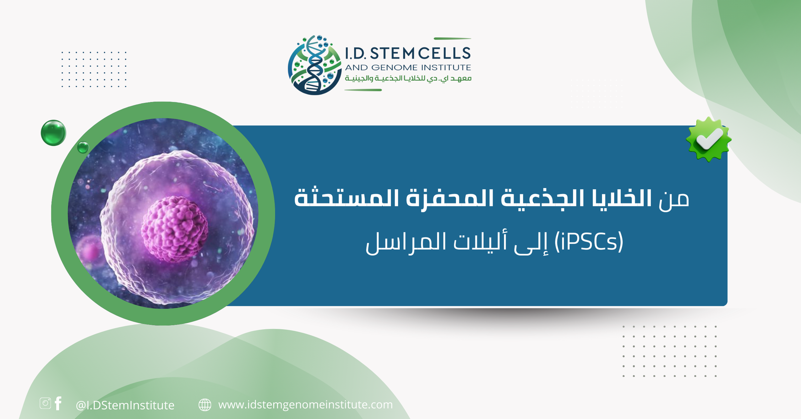 من الخلايا الجذعية المحفزة المستحثة (iPSCs) إلى أليلات المراسل