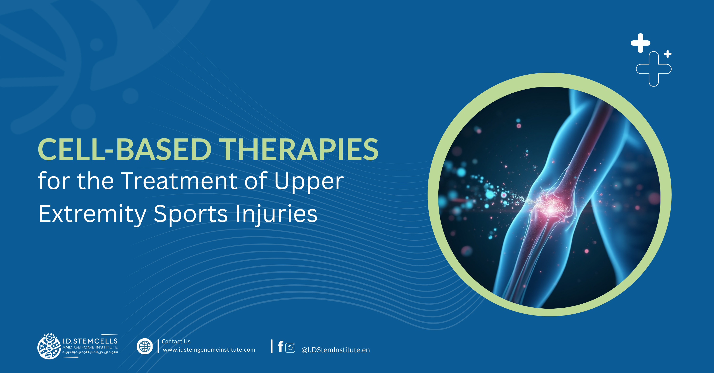 Cell-Based Therapies for the Treatment of Upper Extremity Sports Injuries