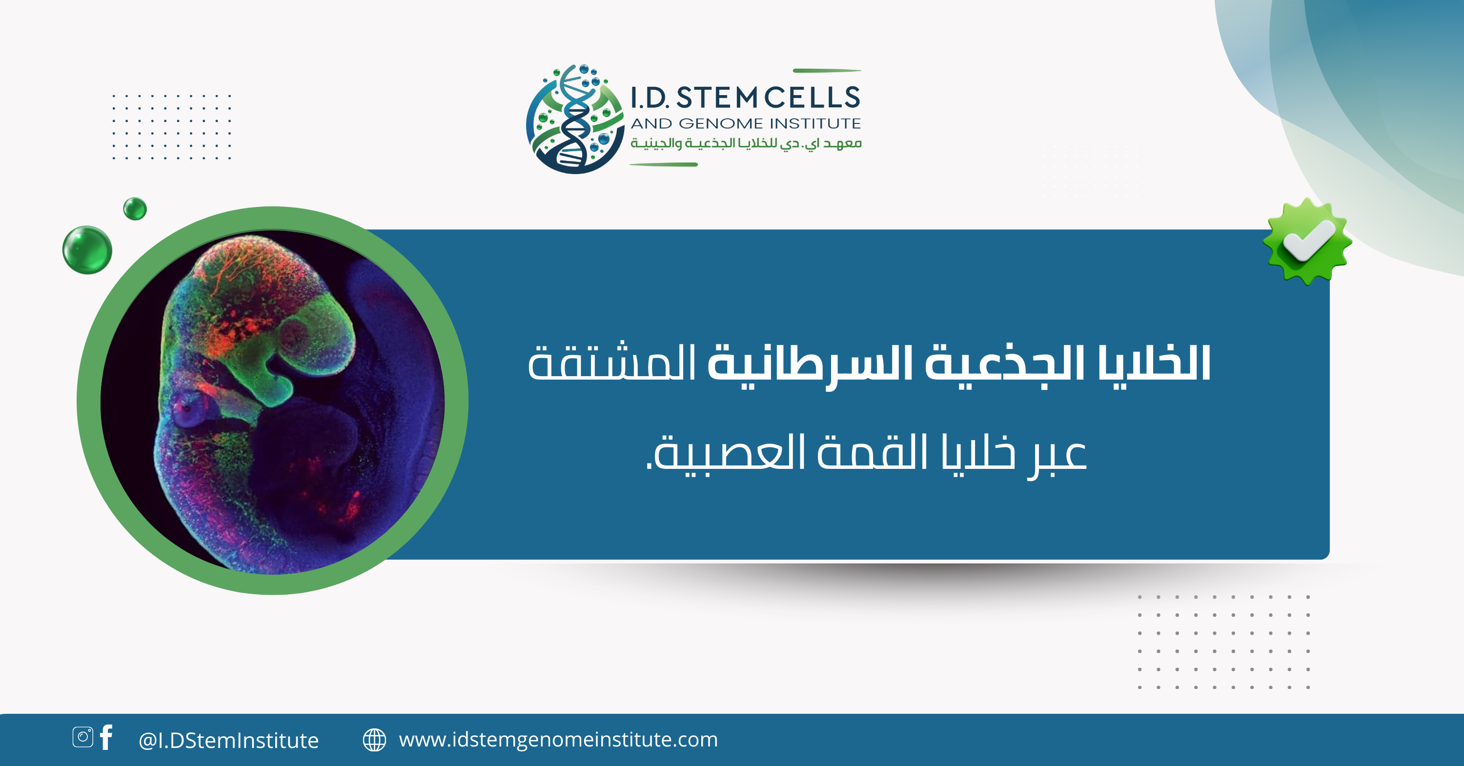 الخلايا الجذعية السرطانية المشتقة عبر خلايا القمة العصبية