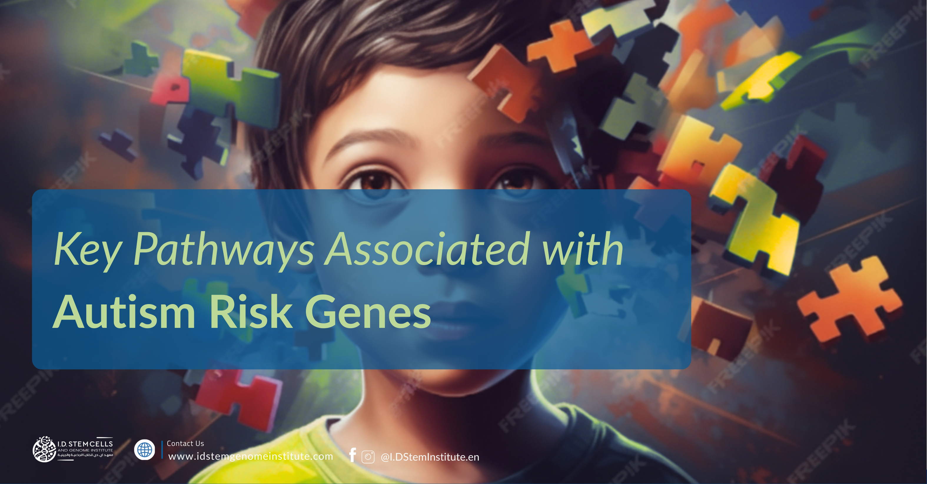 Key Pathways Associated with Autism Risk Genes