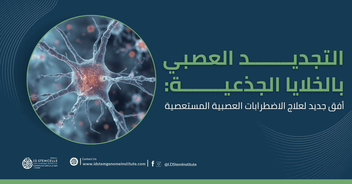 التجديد العصبي بالخلايا الجذعية: أفق جديد لعلاج الاضطرابات العصبية المستعصية