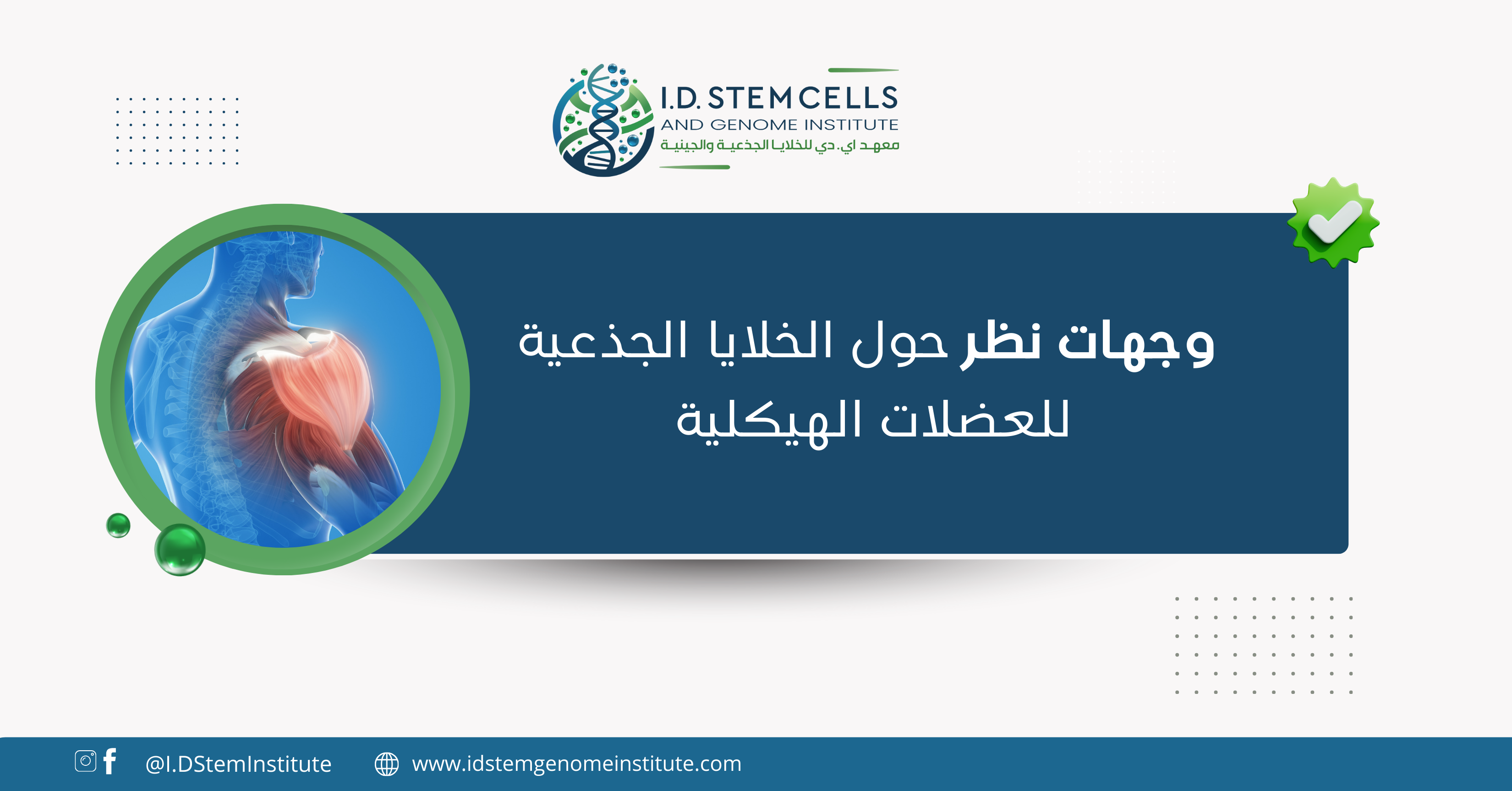 وجهات نظر حول الخلايا الجذعية للعضلات الهيكلية