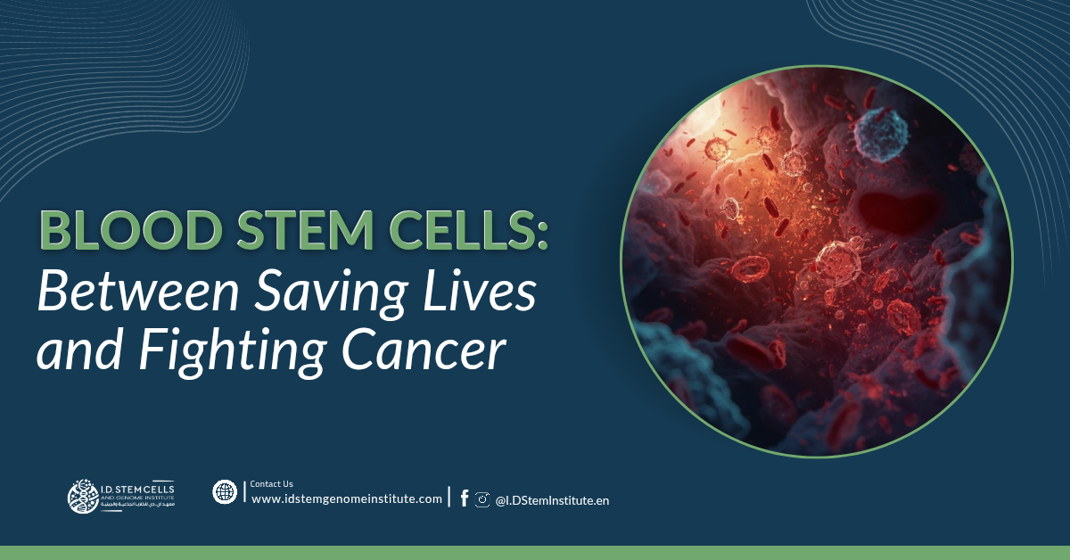  Blood Stem Cells: Between Saving Lives and Fighting Cancer