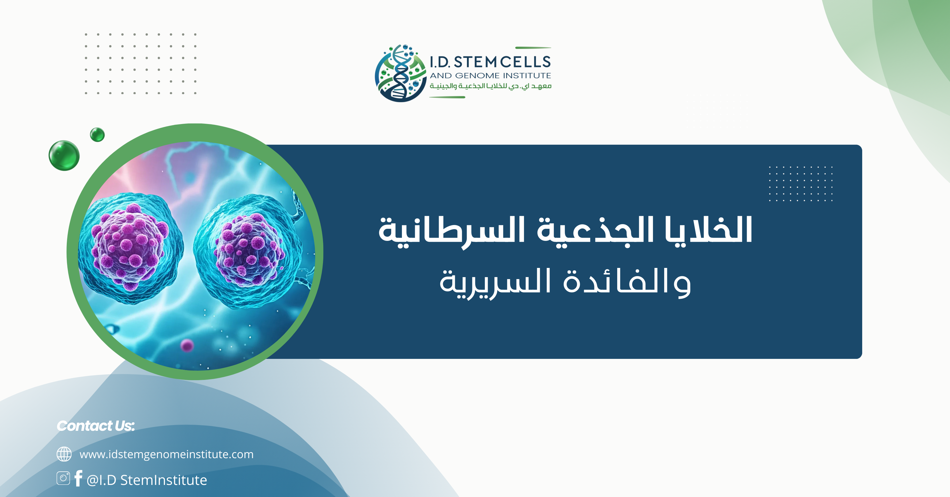 الخلايا الجذعية السرطانية والفائدة السريرية