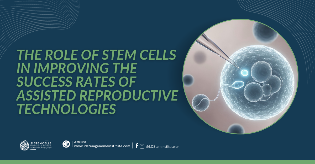 The Role of Stem Cells in Improving the Success Rates of Assisted Reproductive Technologies