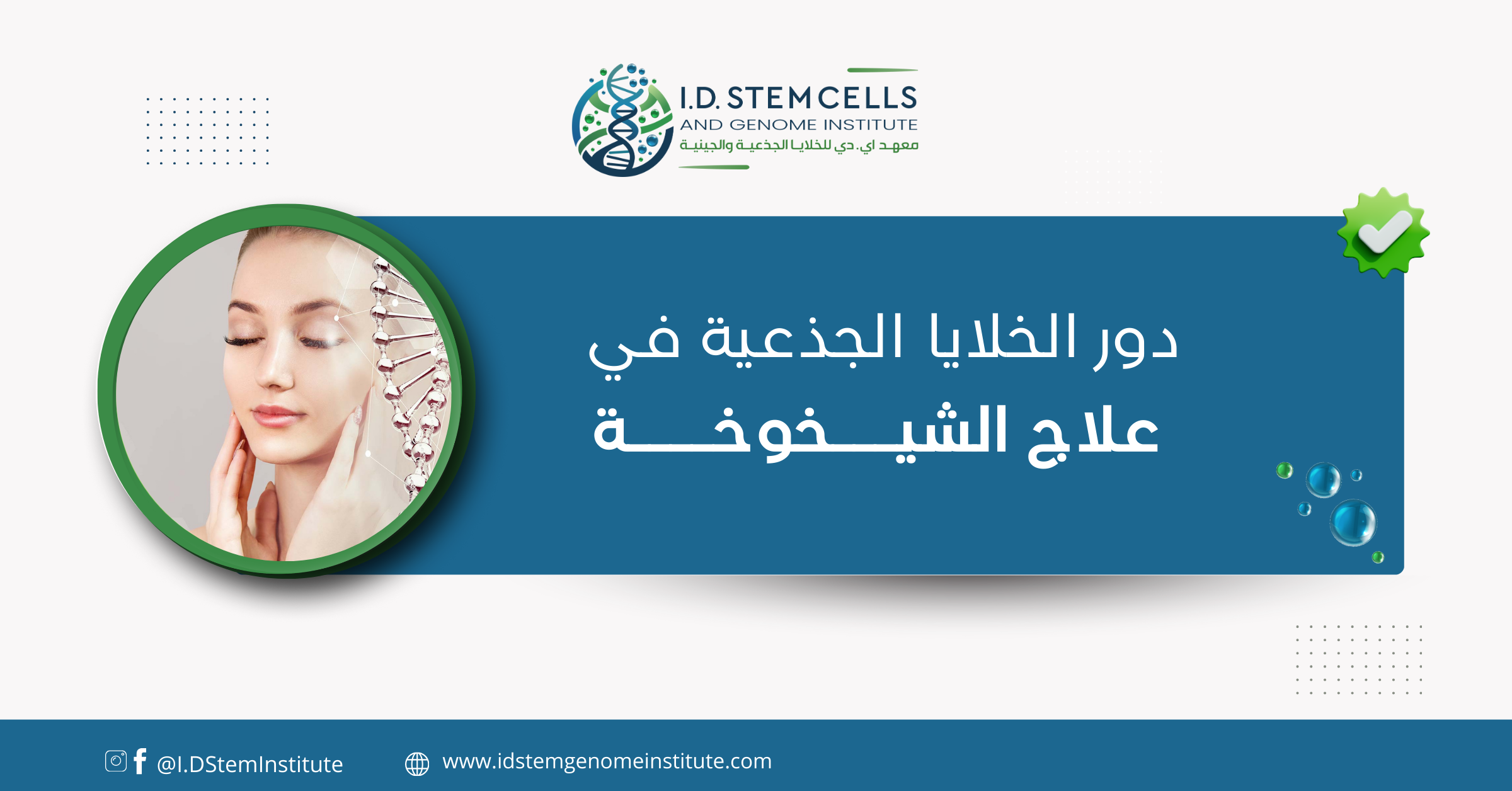 دور الخلايا الجذعية في علاج الشيخوخة