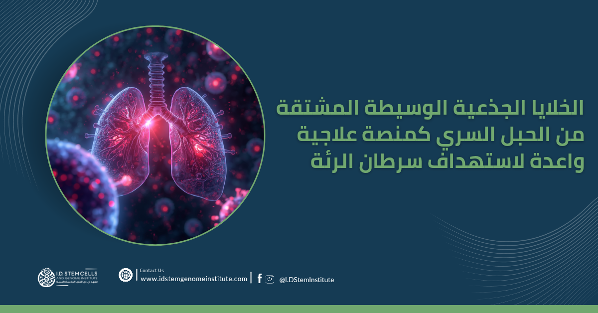 الخلايا الجذعية الوسيطة المشتقة من الحبل السري كمنصة علاجية واعدة لاستهداف سرطان الرئة
