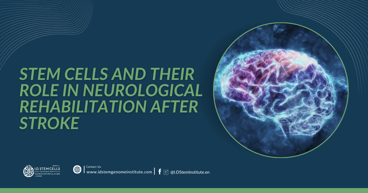 stem-cells-and-their-role-in-neurological-rehabilitation-after-stroke